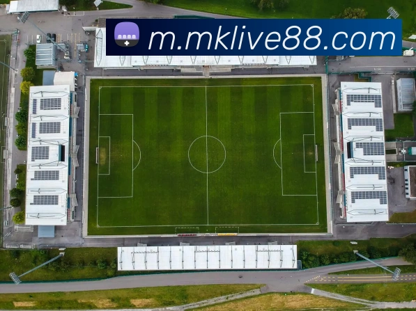 MK体育APP 高清赛事图