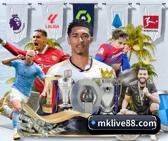 MK体育 APP